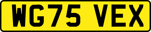 WG75VEX