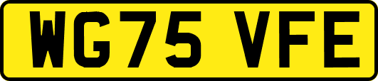WG75VFE