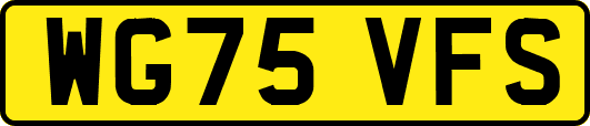 WG75VFS