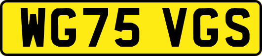 WG75VGS