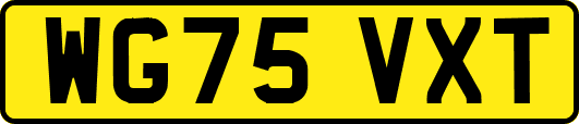WG75VXT