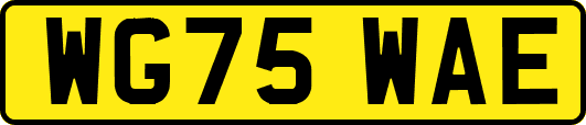 WG75WAE