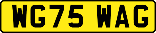 WG75WAG