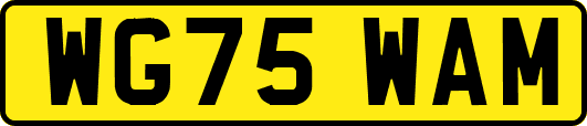 WG75WAM
