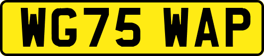WG75WAP