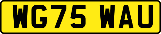 WG75WAU