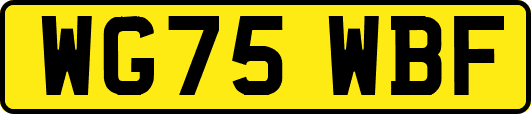 WG75WBF