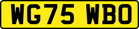 WG75WBO