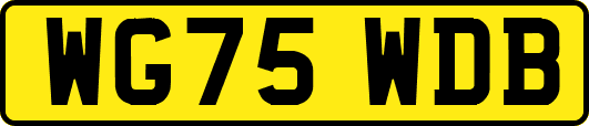 WG75WDB