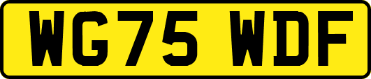 WG75WDF