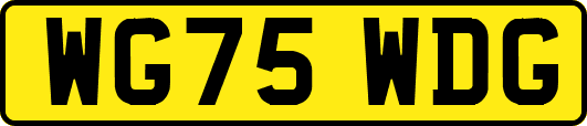 WG75WDG