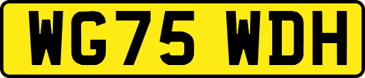 WG75WDH