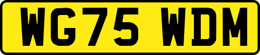 WG75WDM