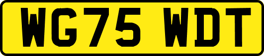 WG75WDT
