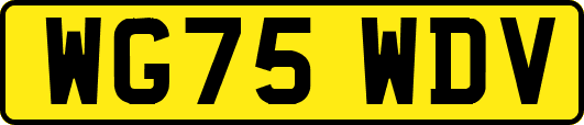 WG75WDV