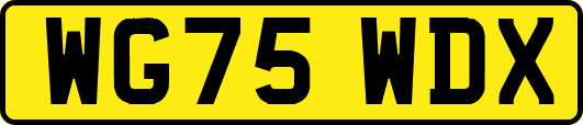 WG75WDX
