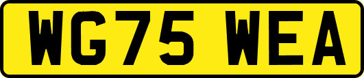 WG75WEA