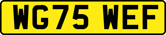 WG75WEF