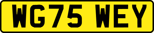 WG75WEY