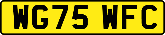 WG75WFC