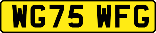 WG75WFG