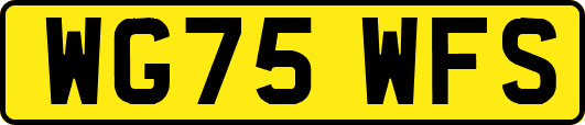 WG75WFS