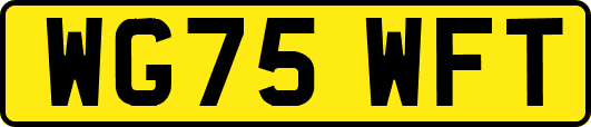 WG75WFT