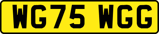 WG75WGG