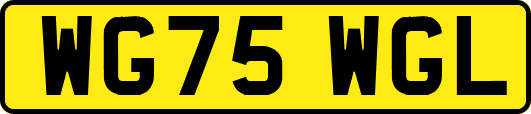 WG75WGL