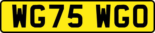 WG75WGO