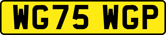 WG75WGP