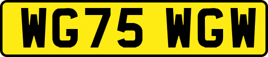 WG75WGW