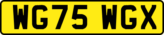 WG75WGX
