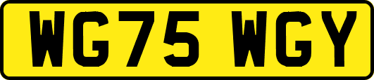 WG75WGY