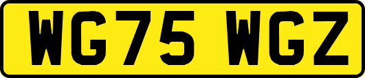 WG75WGZ