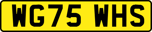 WG75WHS