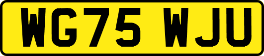 WG75WJU