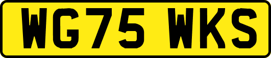 WG75WKS