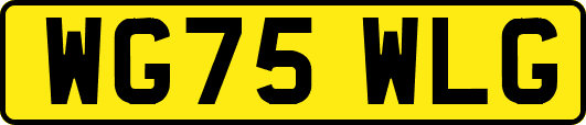WG75WLG