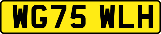 WG75WLH