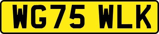 WG75WLK