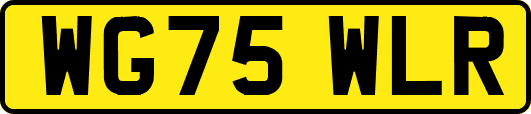 WG75WLR