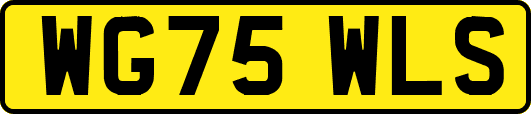 WG75WLS