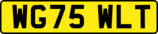 WG75WLT