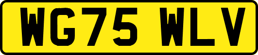 WG75WLV