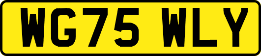 WG75WLY
