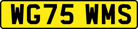 WG75WMS