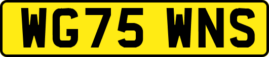 WG75WNS