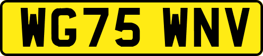 WG75WNV