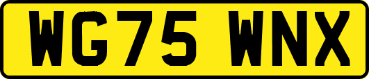 WG75WNX